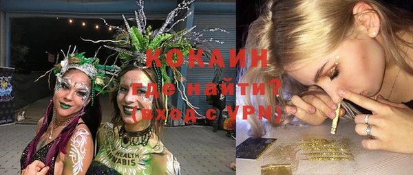 сатива Дмитров