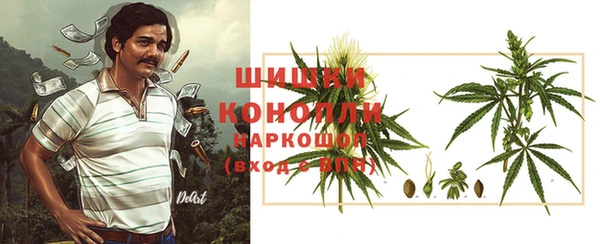 прущие крисы Елизово
